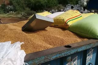 Wheat purchase fraud in MP video viral