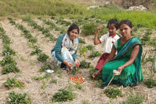 Loan waived of 1529 crores of farmers of Jharkhand know eligibility to get loan waived