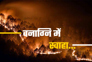 Uttarakhand forest fire