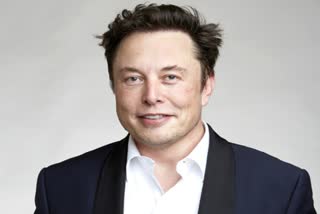 Elon Musk owns Twitter