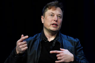 Elon Musk says 'buying Coca Cola next'