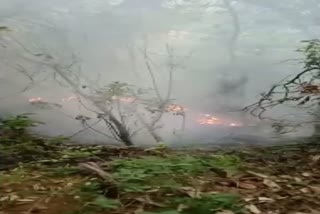 fire broke out in Mussoorie forest