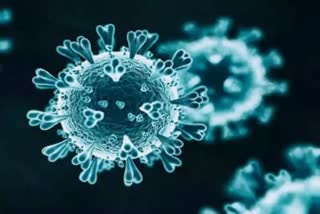new-coronavirus-variant-ba-dot-12-detected-in-bihar