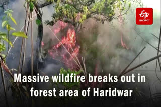 Amid severe heatwave in the country, a massive forest fire broke out in Haridwar on April 27. The fire was later doused off by the locals.  “In summer season, forest fires are a recurrent phenomenon. Sensitive area was cleared via control burning in January and February. No massive fire incident took place so far here,” an official said.