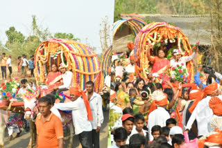 BULLOCK CART MARRIAGE  NASIK BULLOCK CART MARRIAGE  നാസിക് കാളവണ്ടി യാത്ര  നാസിക് വിവാഹ കാളവണ്ടി യാത്ര  നാസിക് കല്ല്യാണ കാളവണ്ടി