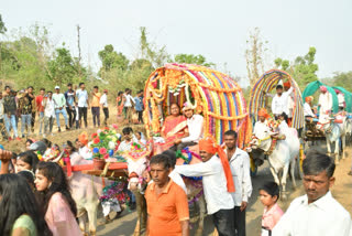 New Tradition: ବଳଦଗାଡି଼ରେ ବିବାହ ସ୍ଥଳରେ ପହଞ୍ଚିଲେ ବରକନ୍ୟା