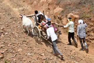 bride on Bullock cart due to no road and transportation in Adilabad telangana