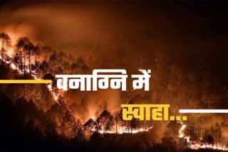 Forest fire is not stopping in Uttarakhand
