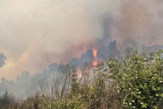 2432 hectares of forest damaged economic cost nearly Rs 60 lakh Uttarkhands never ending forest fires