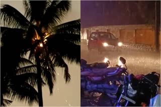 coconut-tree-caught-fire-after-lightning-strikes-in-haveri