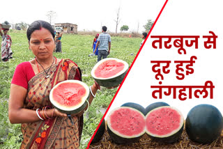 Watermelon cultivation in Hazaribagh