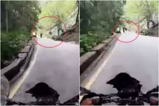 Video of biker killed when a rock fell on him at Thamarassery  biker killed when a rock fell on him at Thamarassery ghat  താമരശ്ശേരി ചുരത്തിൽ പാറക്കല്ല് വീണ് ബൈക്ക് യാത്രികൻ മരിച്ച സംഭവം  താമരശ്ശേരി ചുരത്തിൽ ബൈക്ക് യാത്രക്കാരൻ മരിച്ച സംഭവത്തിന്‍റെ ദ്യശ്യങ്ങൾ