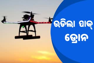 ପୁଣି ସୀମାରେ ପାକ ଡ୍ରୋନ ଠାବ