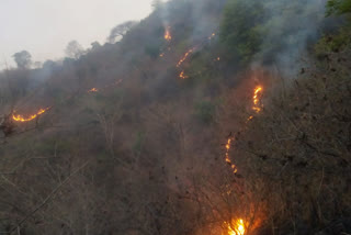 Fire In Hills Of Udaipur