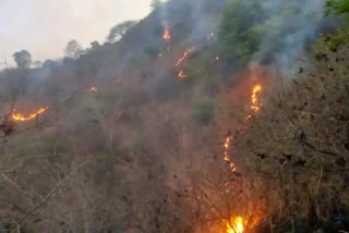 fire-in-hills-of-udaipur-helicopter-deployed-to-douse-fire