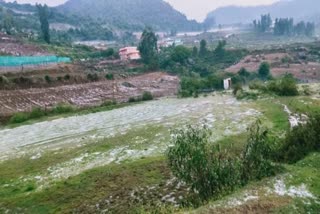 hail rain  video of hail rain  hail rain in ooty  video of hail rain in ooty  ஆலங்கட்டி மழை  ஊட்டியில் ஆலங்கட்டி மழை  ஆலங்கட்டி மழை வீடியோ