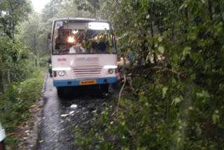 ബാലുശ്ശേരിയിൽ കെ.എസ്.ആര്‍.ടി.സി ബസിനു മുകളില്‍ മരം വീണു.  tree fell on top of the KSRTC bus  കെ.എസ്.ആര്‍.ടി.സി ബസിനു മുകളില്‍ മരം വീണു  കെ.എസ്.ആര്‍.ടി.സി ബസ്  KSRTC