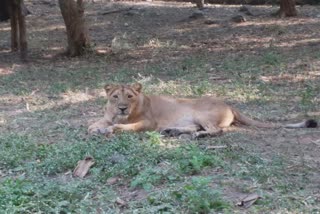 Wildlife Committee Of Parliament