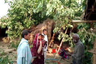 Two Children Died After Falling Tree In Khagaria