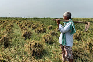 Kalbaisakhi