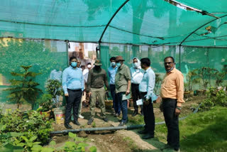 Center of lemon nursery in Chhindwara district