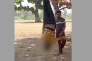 A man working as a watchman was allegedly hung upside down from a tree and brutally thrashed with sticks by five people, including a minor, at a village in Chhattisgarh's Bilaspur district