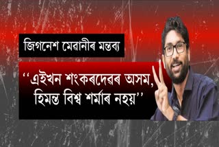 Jignesh Mevani says about Sankardev