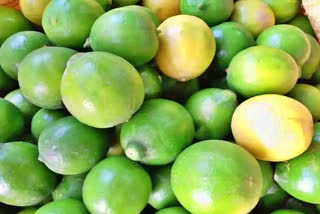 Gujarat: Lemons stolen from farms as prices skyrocket