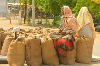 many problems in paddy procurement centers at mahaboobnagar