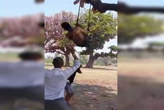 chhattisgarh-a-man-was-thrashed-by-5-people-as-he-was-hung-upside-down-from-a-tree-in-bilaspur-district