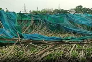 Extensive Damage in Coastal Area of S24 Pargana Due to Kalbaishakhi Storm