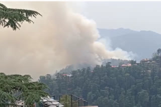 fire breaks out in Tutikandi forest