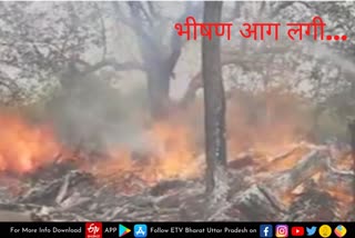 मेरठ के गांधी बाग में लगी भीषण आग
