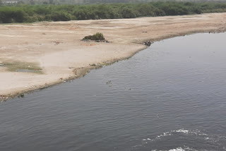 yamuna river drying up