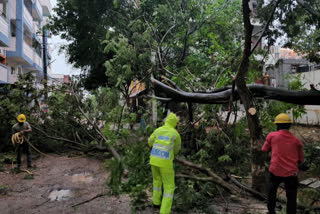 Heavy Rain In Bengaluru,Heavy rainfall hits several parts of Bengaluru,Moderate Rains In Bangaluru,ಭಾರಿ ಮಳೆ,ಬೆಂಗಳೂರಿನಲ್ಲಿ ಭಾರಿ ಮಳೆ,ಭಾರಿ ಮಳೆಗೆ ಧರೆಗುರುಳಿದ ಮರ,ಮಳೆಯಿಂದ ಭಾರಿ ಹಾನಿ ಧಾರಾಕಾರ ಮಳೆ,ಧರೆಗುರುಳಿದ ವಿದ್ಯುತ್ ಕಂಬಗಳು