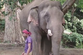 சீனியர் கலீமும் ஜூனியர் சின்னதம்பியும்