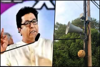 Raj Thackeray's provocative