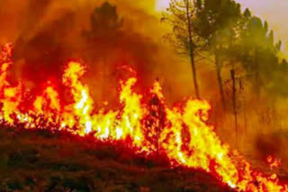 Uttarakhand forest fires increases "Black Carbon" threat to Himalayan region