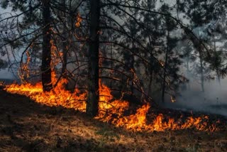 Uttarakhand Forest Fire