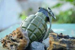 Soldier Detained With Grenade