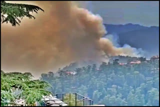 Cases of forest fire in Himachal Pradesh