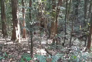 missing child found in forest after four days  child missing in belagavi  കുട്ടിയെ വീട്ടിൽ നിന്നും കാണാതായി  കാണാതായ കുട്ടിയെ കണ്ടെത്തി