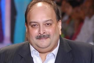 CBI Case Against Mehul Choksi