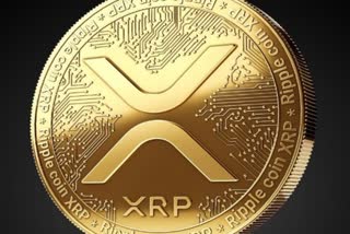 cryptocurrencies-xrp-terra-gain-dodgecoin-shiba-inu-slips