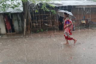 Heavy rainfall brings relief in Nadia