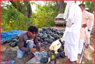 Great Demand Of Panipat Watermelon