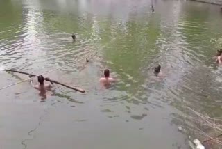 man drowning in pond in rewari