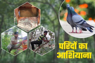 BIRD LOVER RANJAN KUMAR FROM GAYA