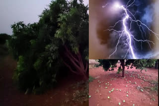 ఆ ప్రాంతాల్లో పిడుగులు.. జాగ్రత్తగా ఉండాలి: విపత్తుల నిర్వహణ శాఖ