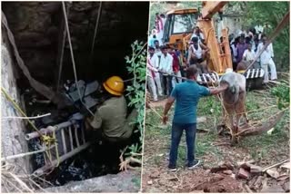 Ox Rescued After Falling Into Well In Hubli
